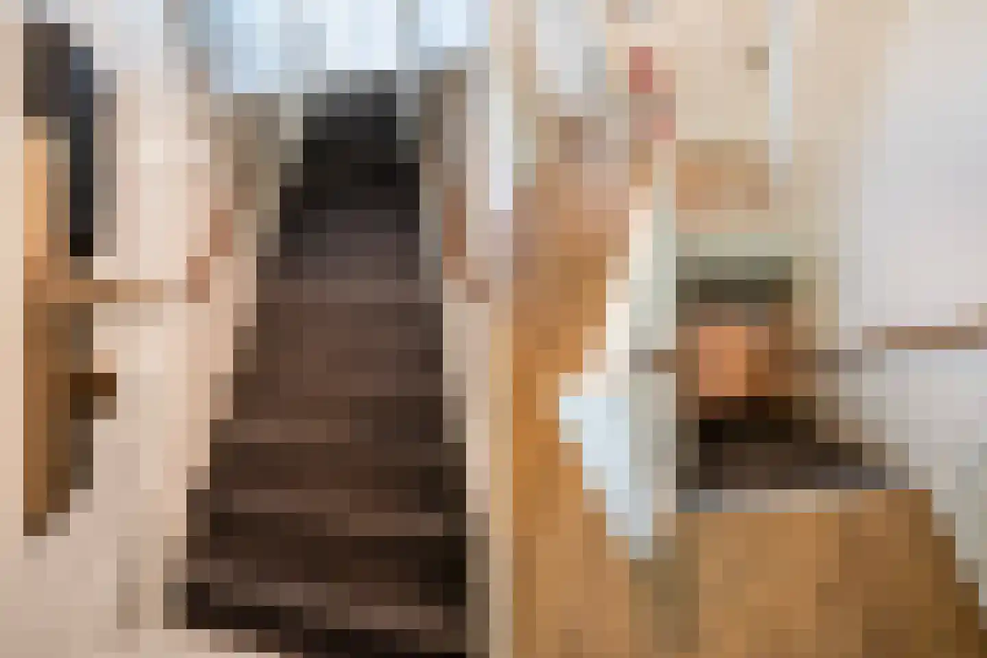 Grachtweg 2 Lisse thumbnail 66
