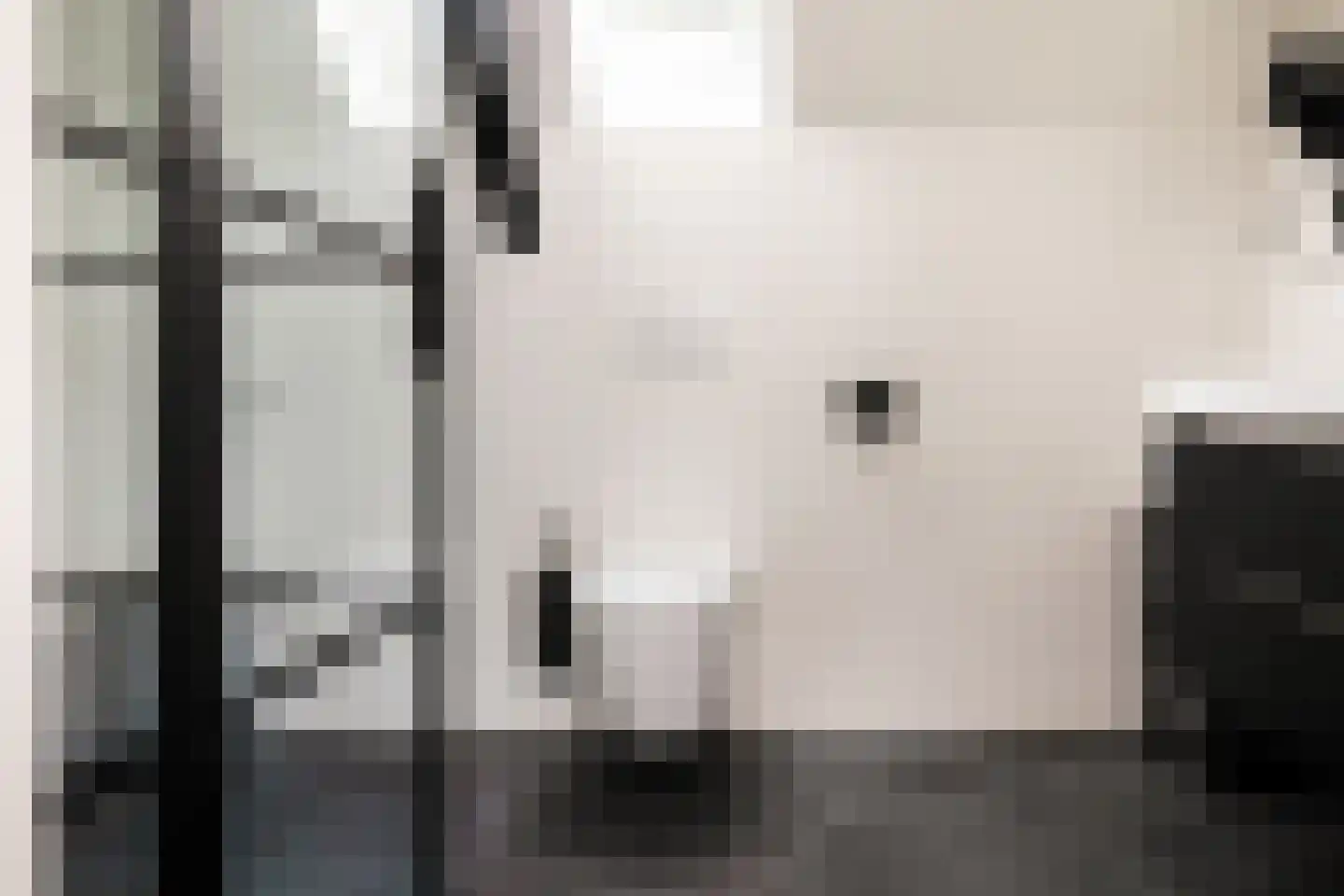 Grachtweg 2 Lisse thumbnail 71