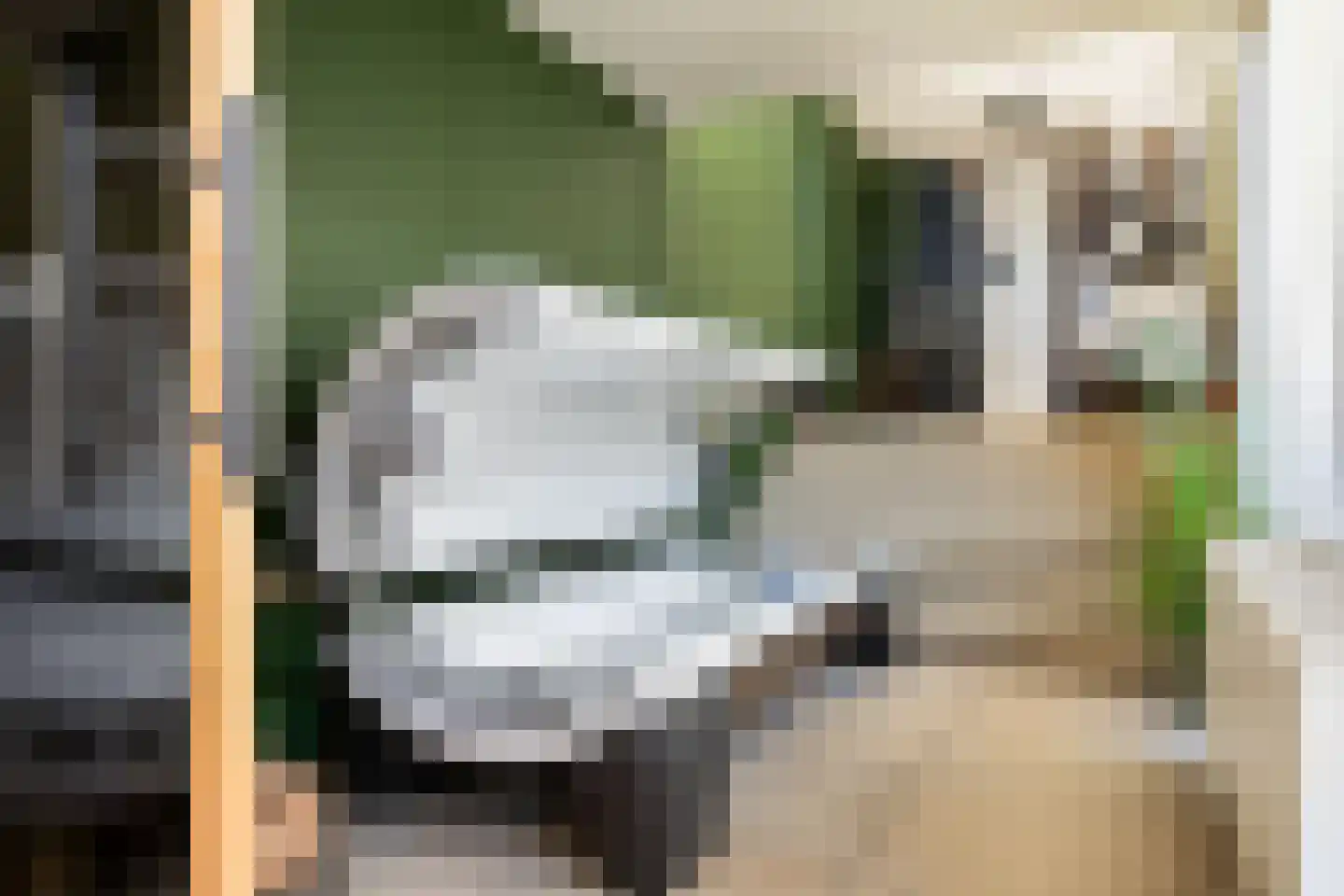 Grachtweg 2 Lisse thumbnail 92