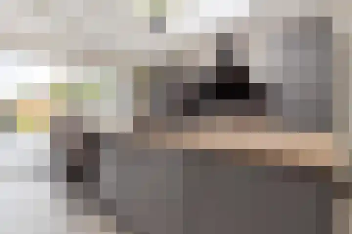 Graetheide 46 E Born thumbnail 14