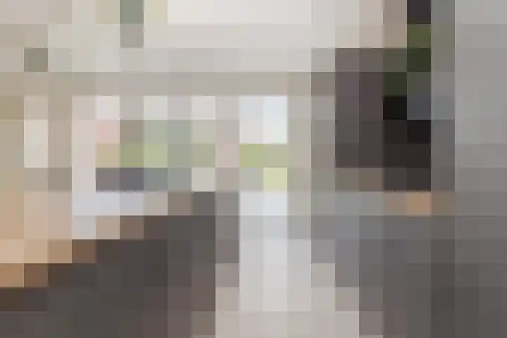 Graetheide 46 E Born thumbnail 15