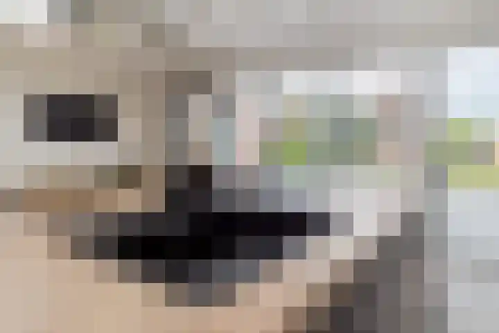 Graetheide 46 E Born thumbnail 17