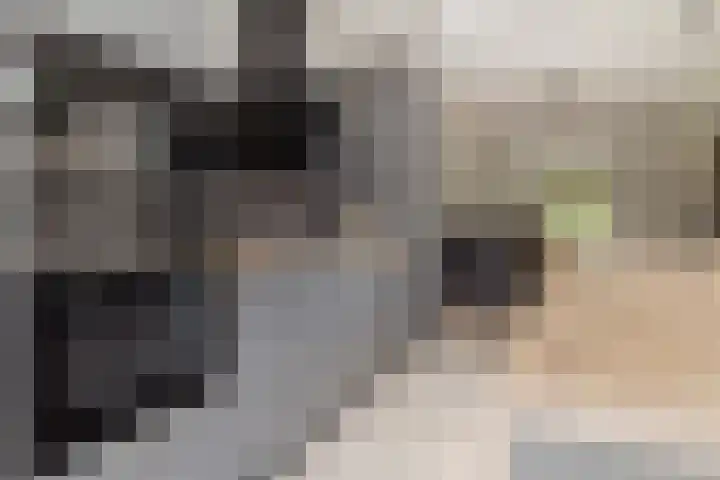 Graetheide 46 E Born thumbnail 18