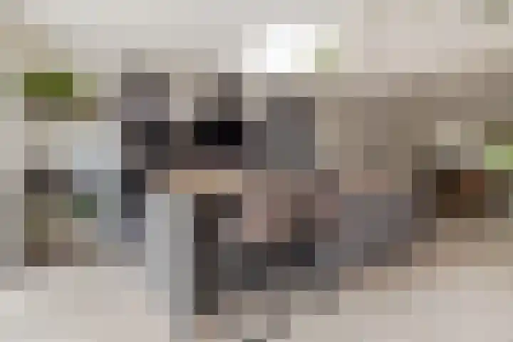 Graetheide 46 E Born thumbnail 19