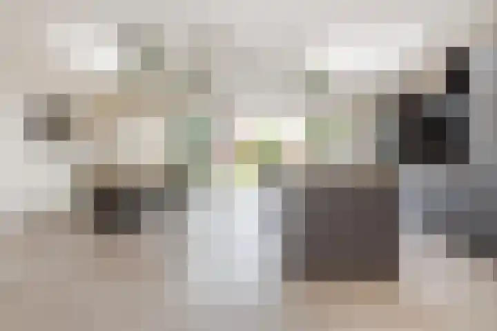 Graetheide 46 E Born foto 2