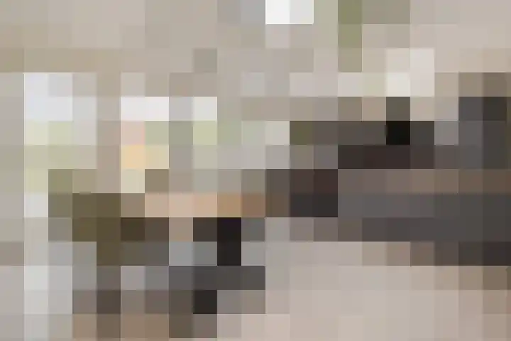 Graetheide 46 E Born thumbnail 20