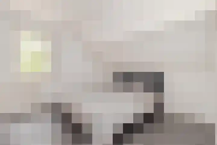 Graetheide 46 E Born thumbnail 24