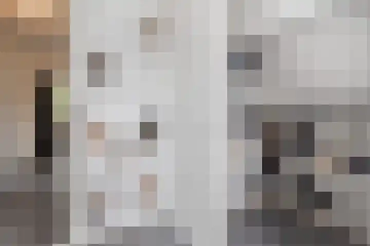 Graetheide 46 E Born thumbnail 30