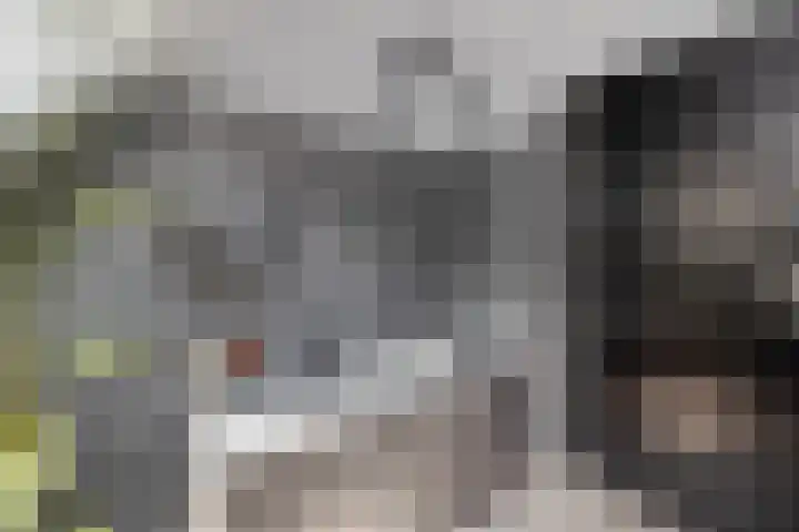 Graetheide 46 E Born thumbnail 32