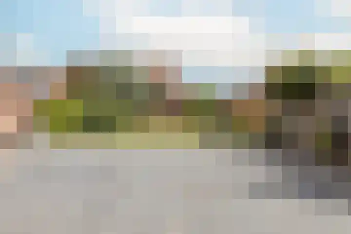 Graetheide 46 E Born thumbnail 36