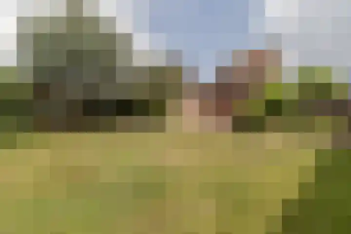 Graetheide 46 E Born thumbnail 39