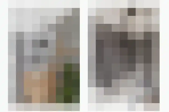 Graetheide 46 E Born thumbnail 4