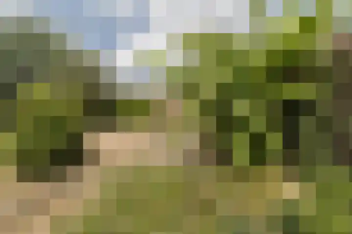 Graetheide 46 E Born thumbnail 40