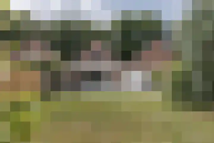 Graetheide 46 E Born thumbnail 41