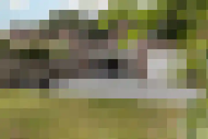 Graetheide 46 E Born thumbnail 42