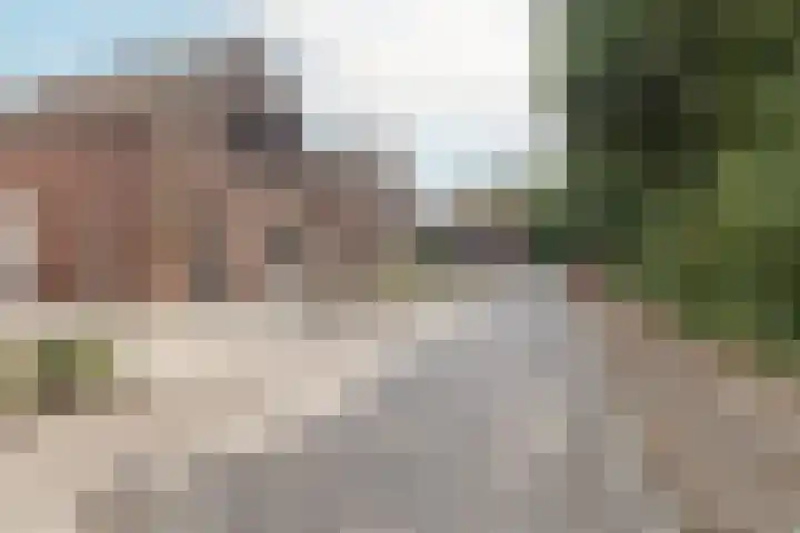 Graetheide 46 E Born thumbnail 44