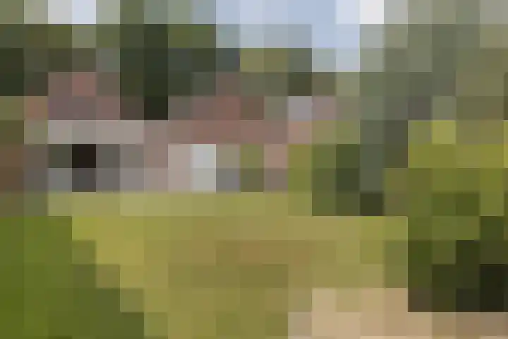 Graetheide 46 E Born thumbnail 5