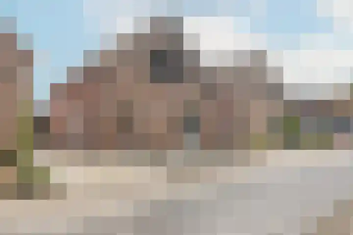 Graetheide 46 E Born thumbnail 7