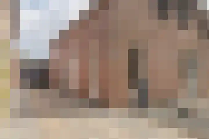 Graetheide 46 E Born thumbnail 8
