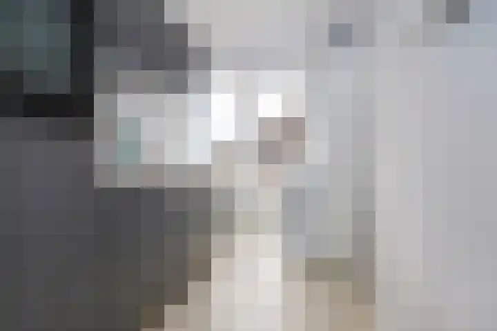 Grahamstraat 252 IJmuiden thumbnail 22