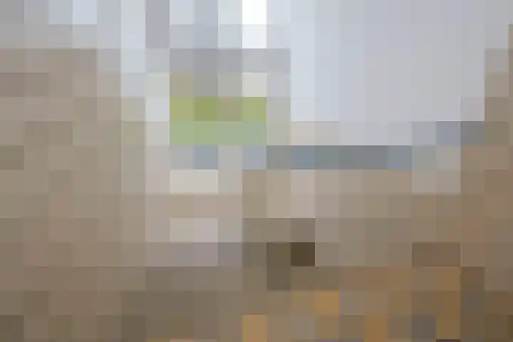 Grahamstraat 252 IJmuiden thumbnail 9
