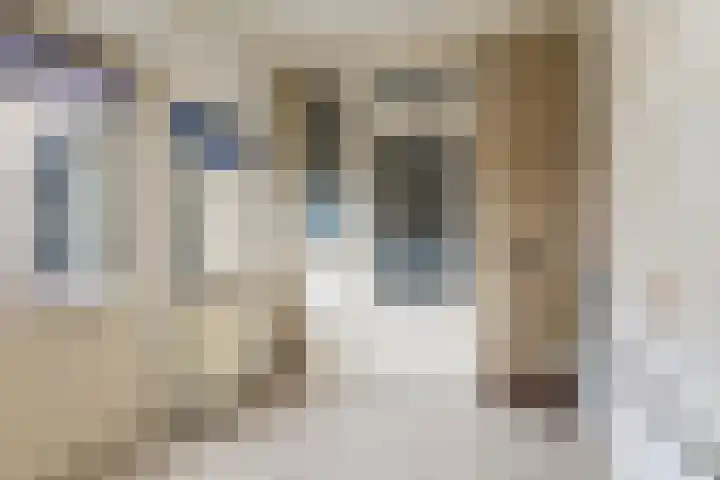 Graldastins 47 Stiens thumbnail 10