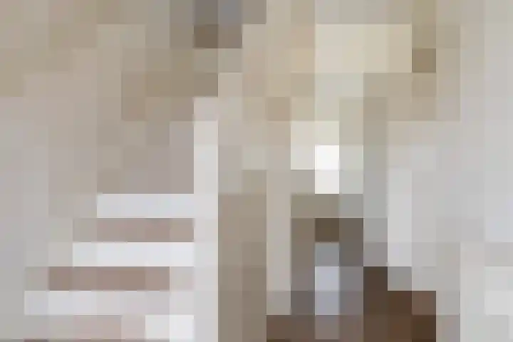 Graldastins 47 Stiens thumbnail 12