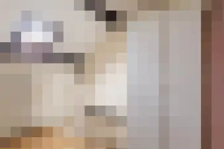 Graldastins 47 Stiens thumbnail 22