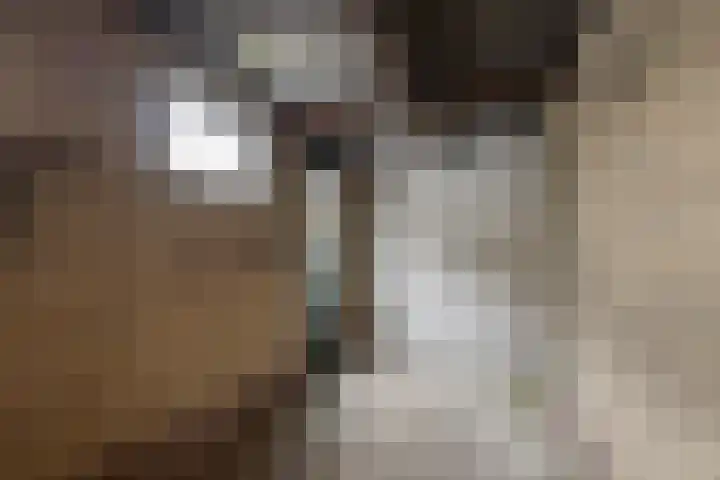 Graldastins 47 Stiens thumbnail 30