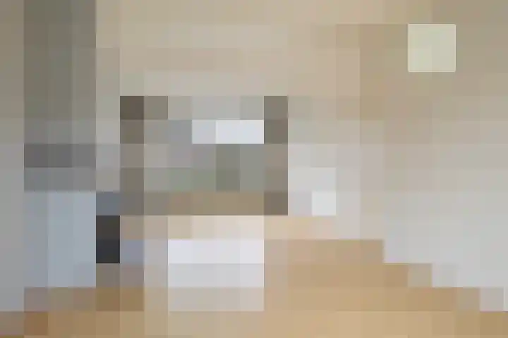 Graldastins 47 Stiens thumbnail 5