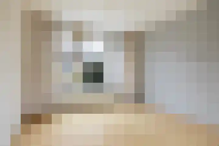 Graldastins 47 Stiens thumbnail 6
