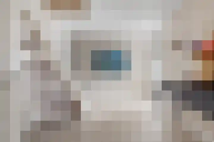 Granaat 9 Eindhoven thumbnail 11