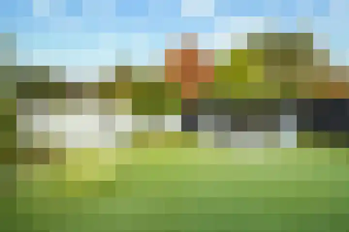 Granaat 9 Eindhoven thumbnail 39