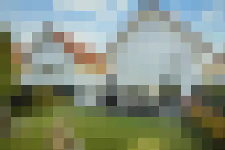 Granaat 9 Eindhoven thumbnail 41