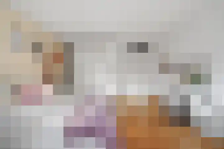 Granaat 9 Eindhoven thumbnail 52
