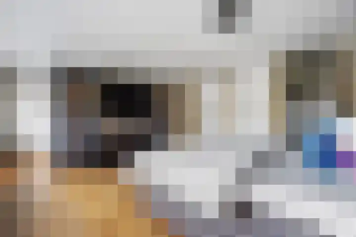 Granaat 9 Eindhoven thumbnail 55