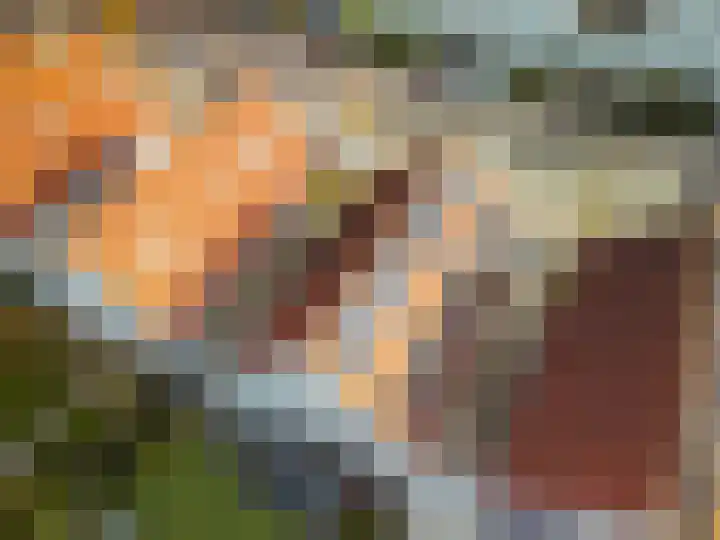 Granaat 9 Eindhoven thumbnail 76