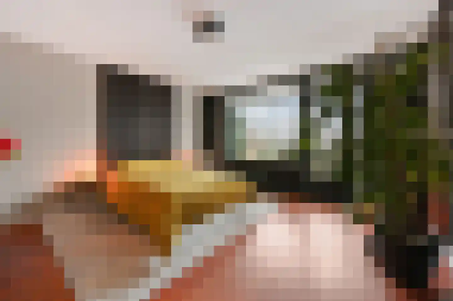 Granaathorst 103 Den Haag thumbnail 12