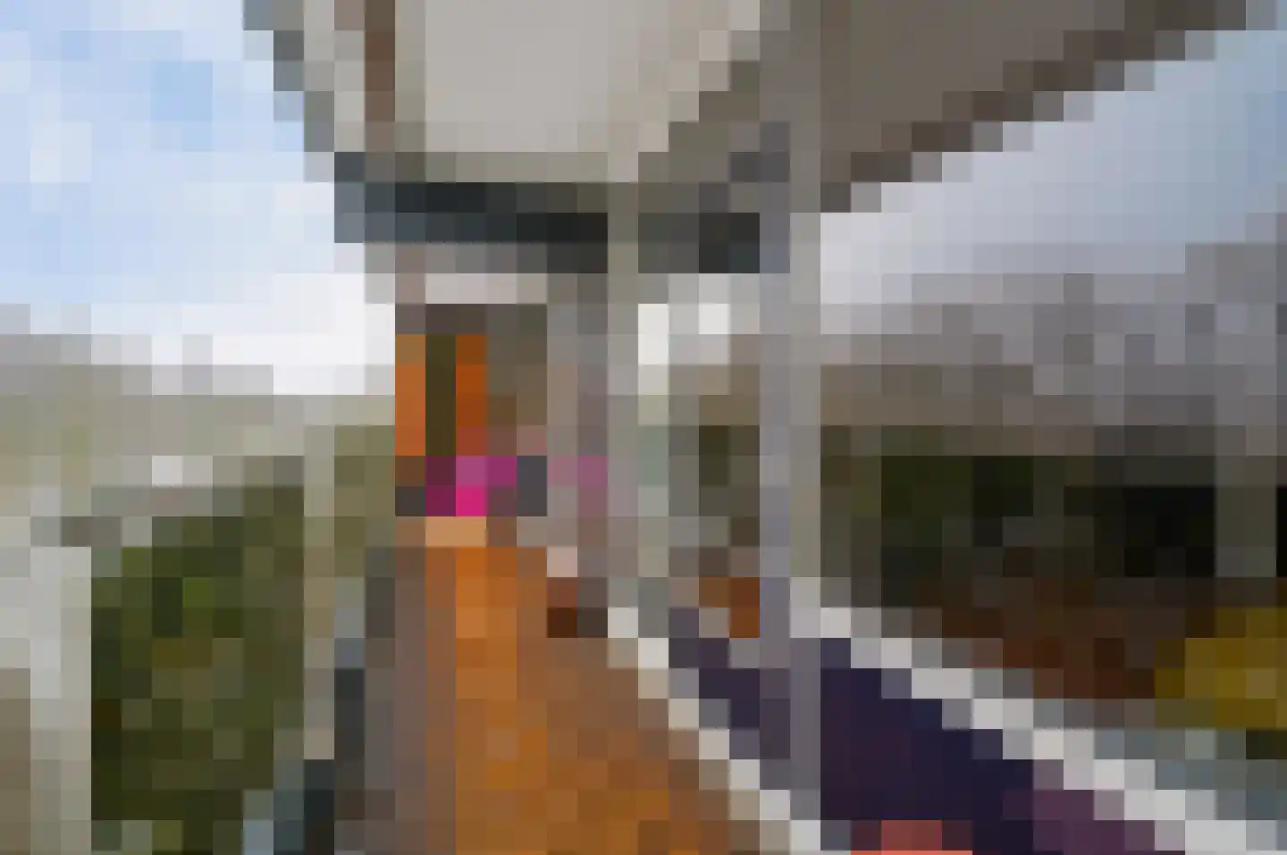Granaathorst 103 Den Haag thumbnail 14
