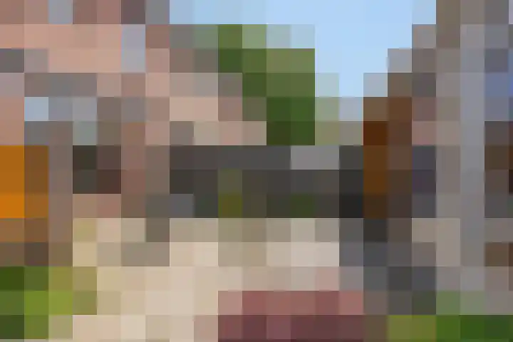 Granaathorst 103 Den Haag thumbnail 17