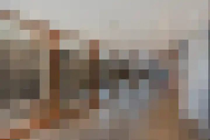 Granaathorst 313 Den Haag thumbnail 4