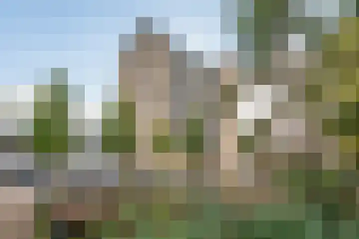 Granaathorst 399 Den Haag thumbnail 10