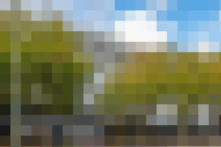 Granaathorst 399 Den Haag thumbnail 5