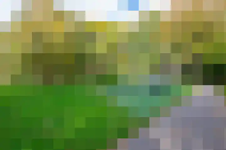 Granaathorst 399 Den Haag thumbnail 9
