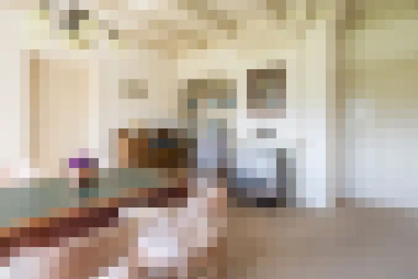 Grândyk 9 Holwert thumbnail 9
