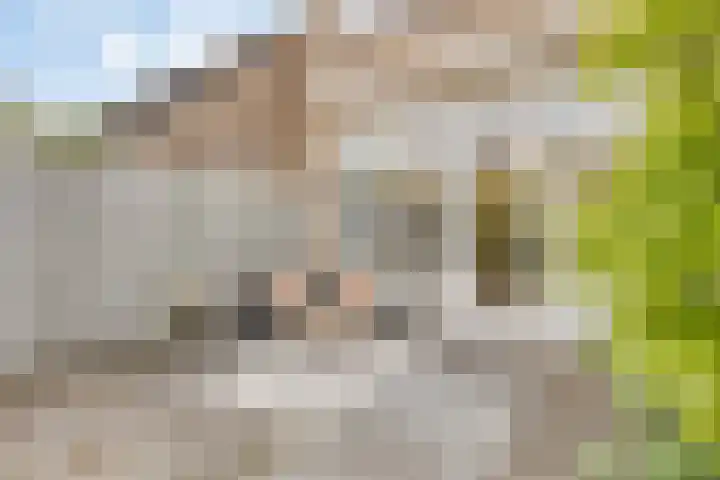 Granietstraat 71 Oss thumbnail 15