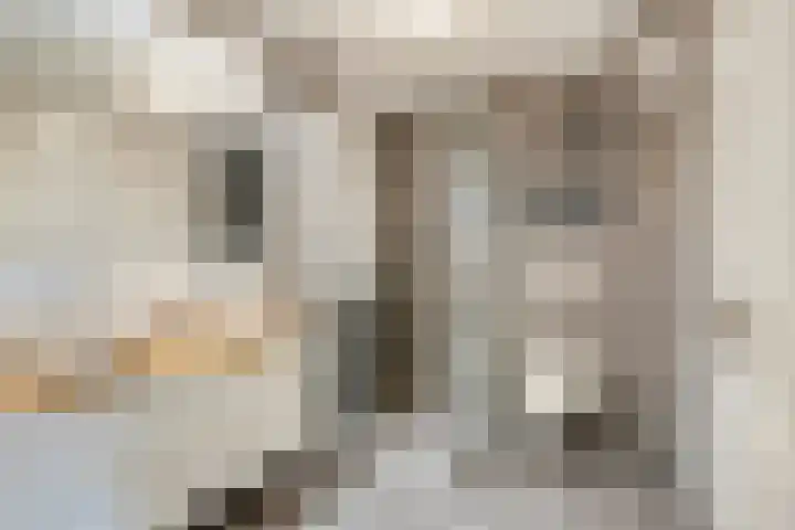 Granietstraat 71 Oss thumbnail 26