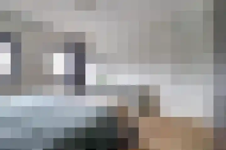 Grasakker 9 Druten thumbnail 26