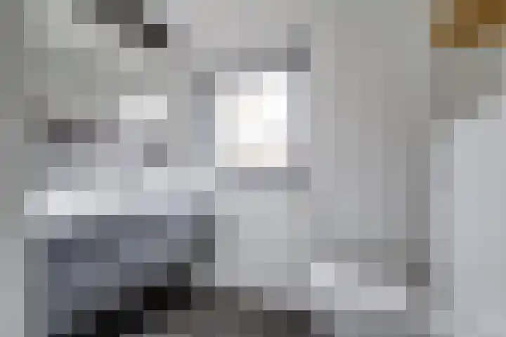 Grasakker 9 Druten thumbnail 36