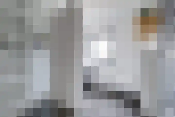 Grasakker 9 Druten thumbnail 37